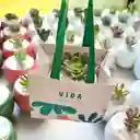 6 Regalos Para Agradecer ✨ Con Bolsita