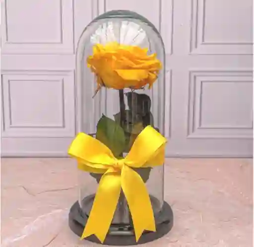Rosa Preservada Color Amarillo