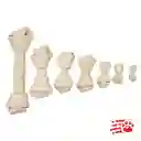 Hueso De Carnaza Natural Para Perro Tamaño 2-3