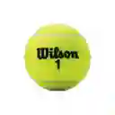 Wilson Championship Tennis Balls X 3