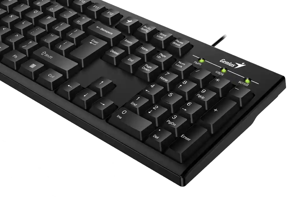 Teclado Genius Usb Mod Kb-100 Negro Letra Ñ// Win Mac