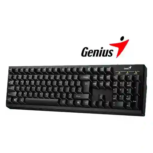 Teclado Genius Usb Mod Kb-100 Negro Letra Ñ// Win Mac
