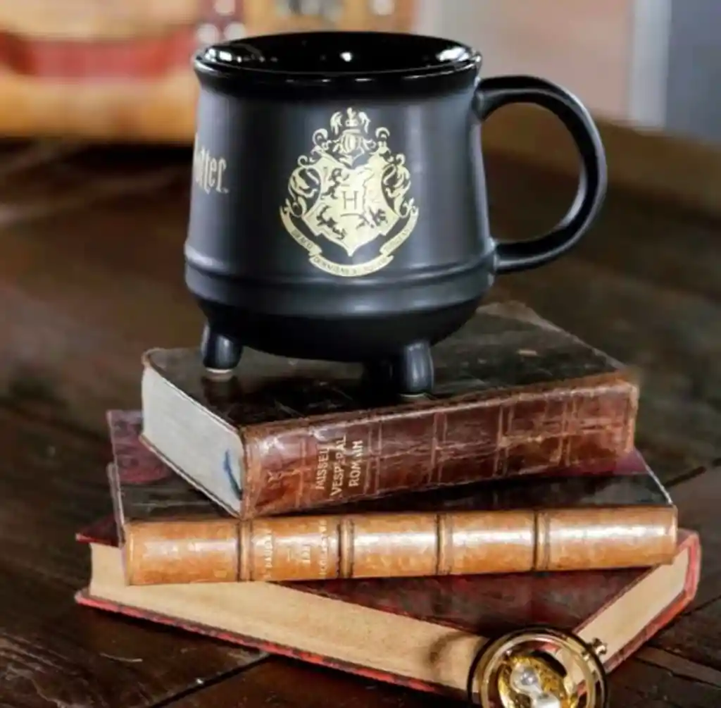 Mug Caldero Harry Potter