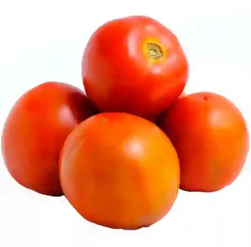 Tomate Chonto