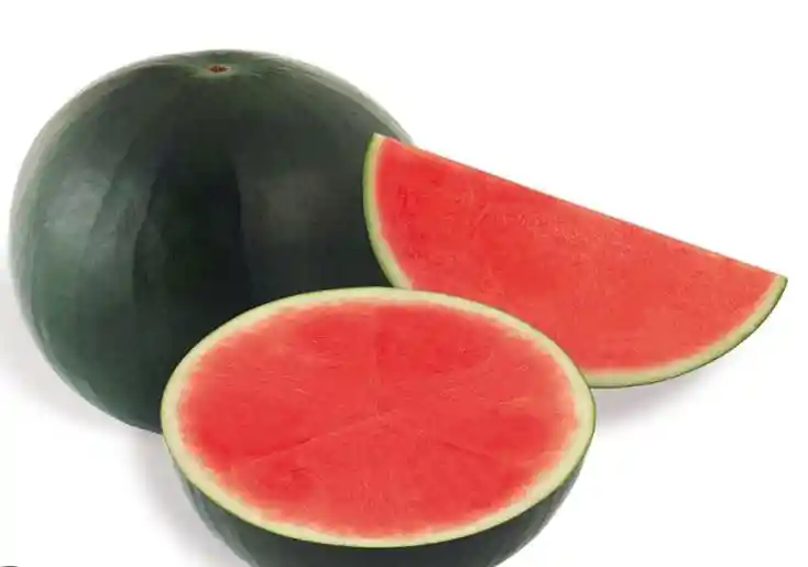 Sandia Vanesa