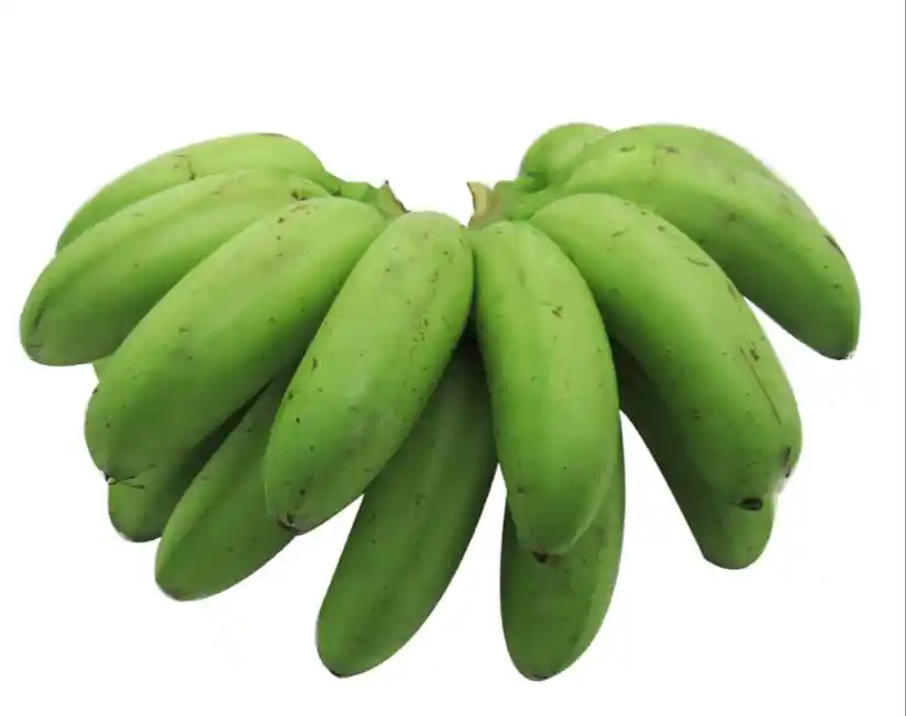 Platano Murrapo