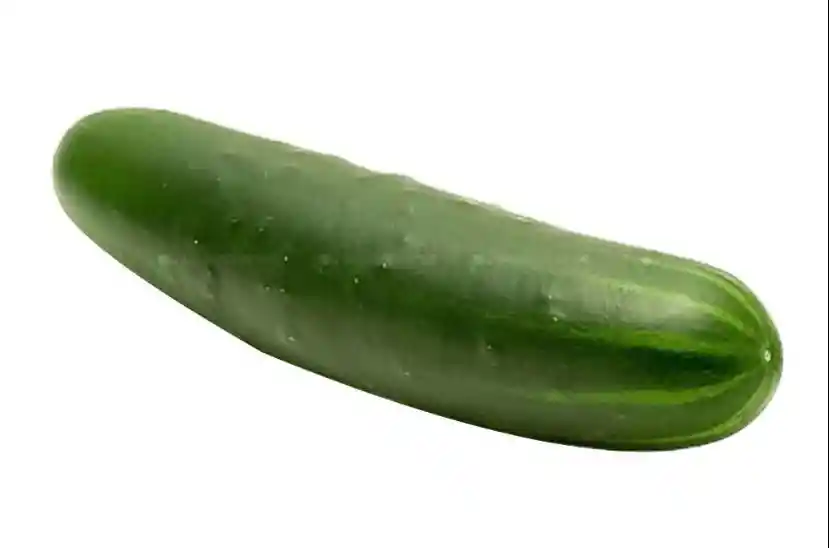 Pepino Cohombro