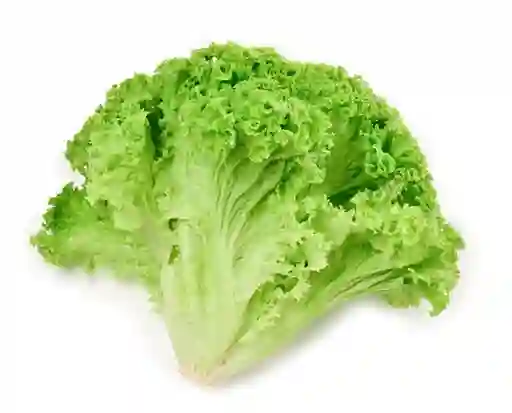 Lechuga Crespa