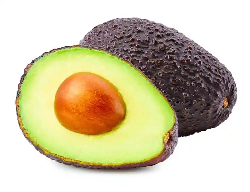 Aguacate Hass