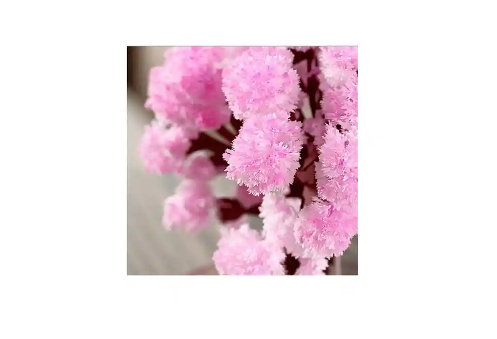 Arbol Magico Sakura
