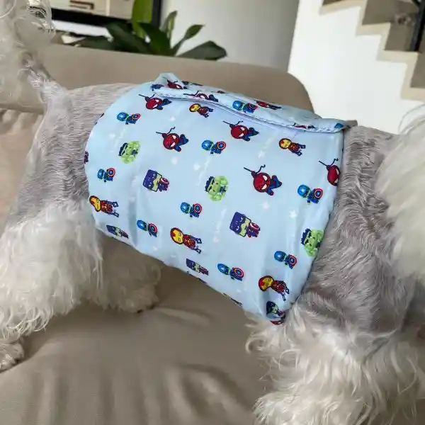 Faja Control De Orina Mascota Para Mascotas - Talla S