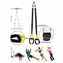 Kit Entrenamiento Suspensión Gym Fit Gimnasio