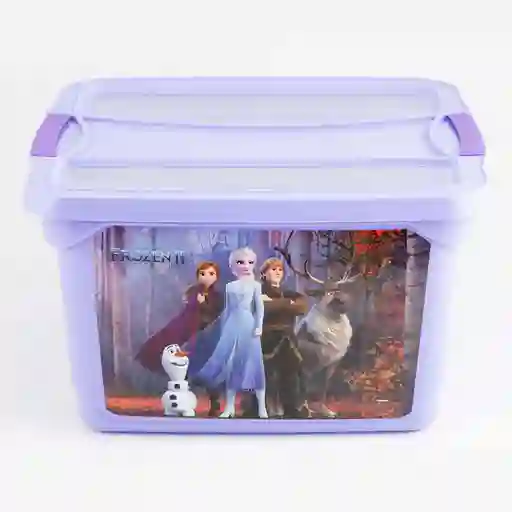 Caja Organizadora Kendy Monserrat Frozen Disney 21 L
