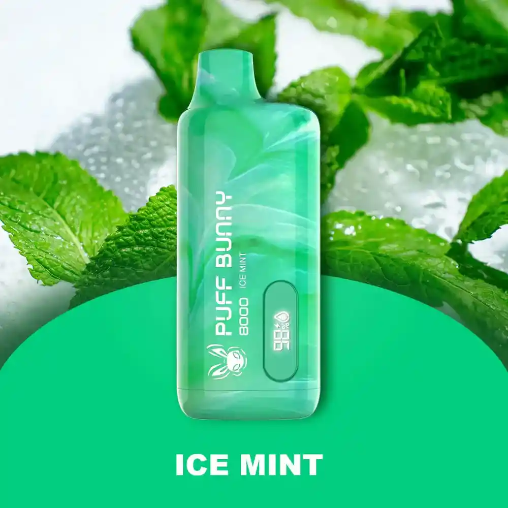 Puffbunny Ice Mint 8000puff