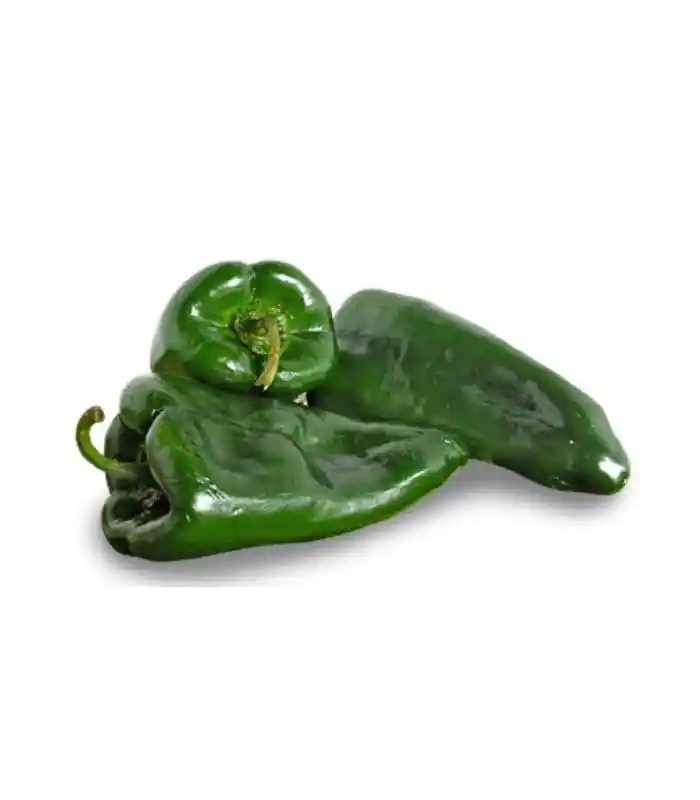 Poblano Fresco
