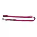 Collar X- Trm T.l Marron-cardenal 2cmx36-48cm+correa120mmx20mm