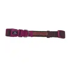 Collar X- Trm T.l Marron-cardenal 2cmx36-48cm+correa120mmx20mm