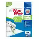 Tapetes Absorbentes Wee-wee Con Aroma A Pasto X 10 Unidades