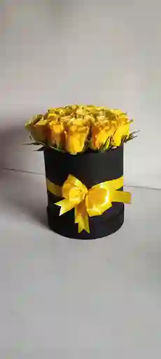 Cilindro De 24 Rosas Amarillas