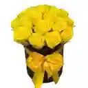 Cilindro De 24 Rosas Amarillas