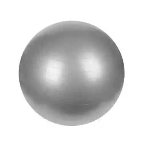 Gym Ball O Balón De Pilates 65 Cm