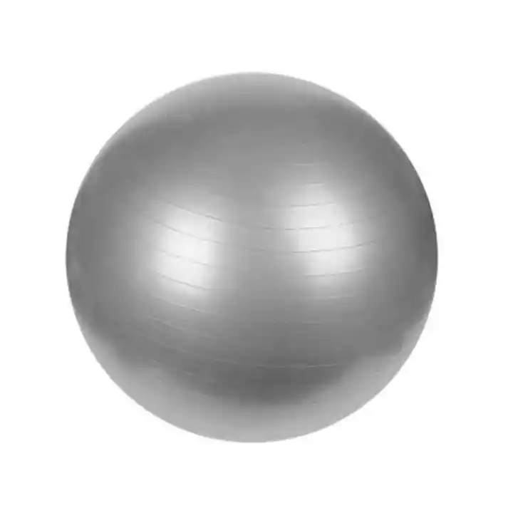 Gym Ball O Balón De Pilates 65 Cm