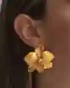 Aretes Orquidea Phalaenopsis Esmeralda Saucos