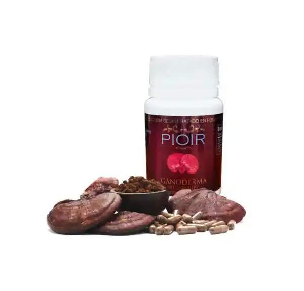 Ganoderma Lucidum Capsulas