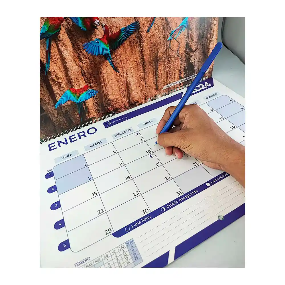 Calendario Planeador Nika 2024, Tamaño A3, Viva Colombia Plu44216