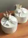 Bodys Mini Amorosas X2