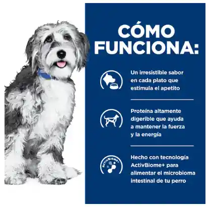 Onc Care Alimento Seco Para Perro X 6 Lb