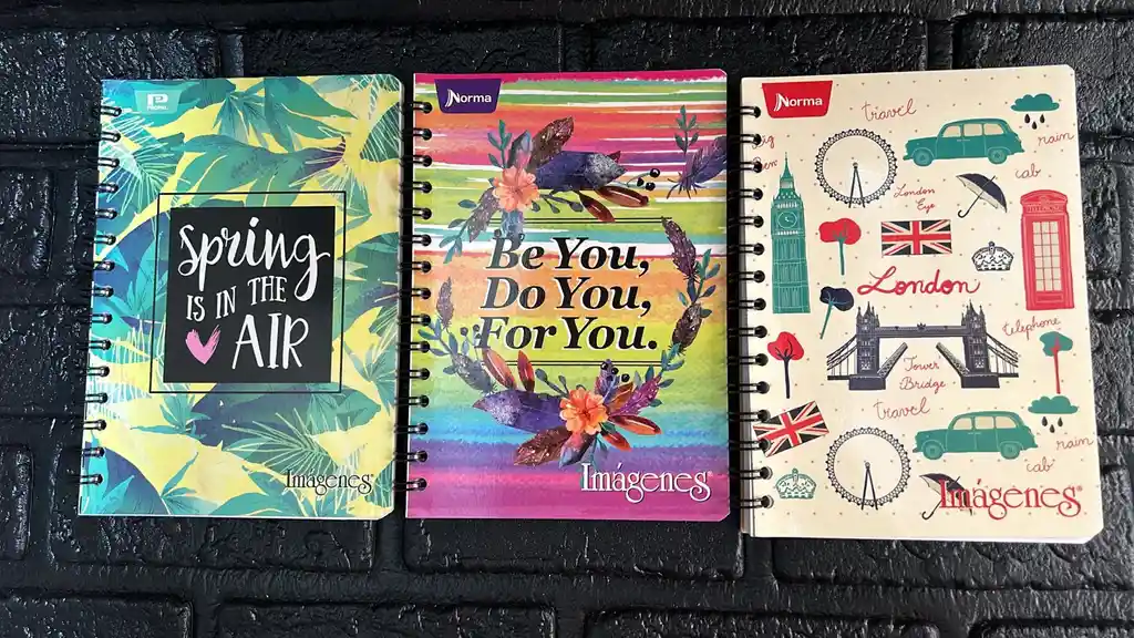 Cuaderno Argollado Linea Pequeño 100 Hojas Dama Cod.a93