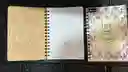 Cuaderno Argollado Linea Pequeño 100 Hojas Dama Cod.a93