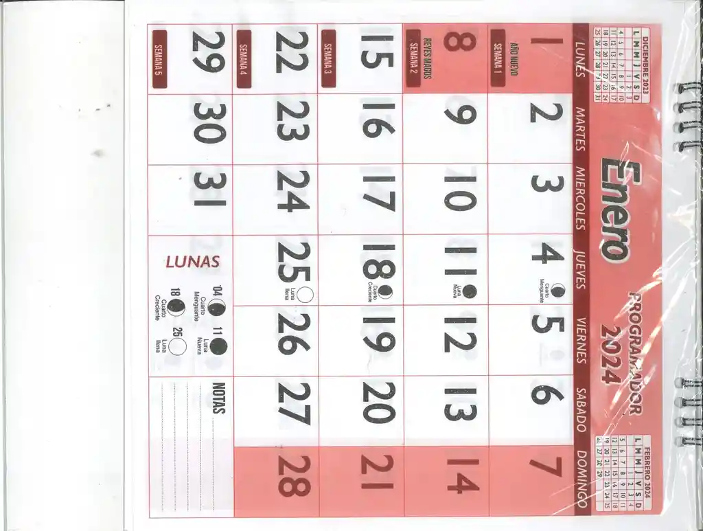 Calendario Programador Vertical Pequeño