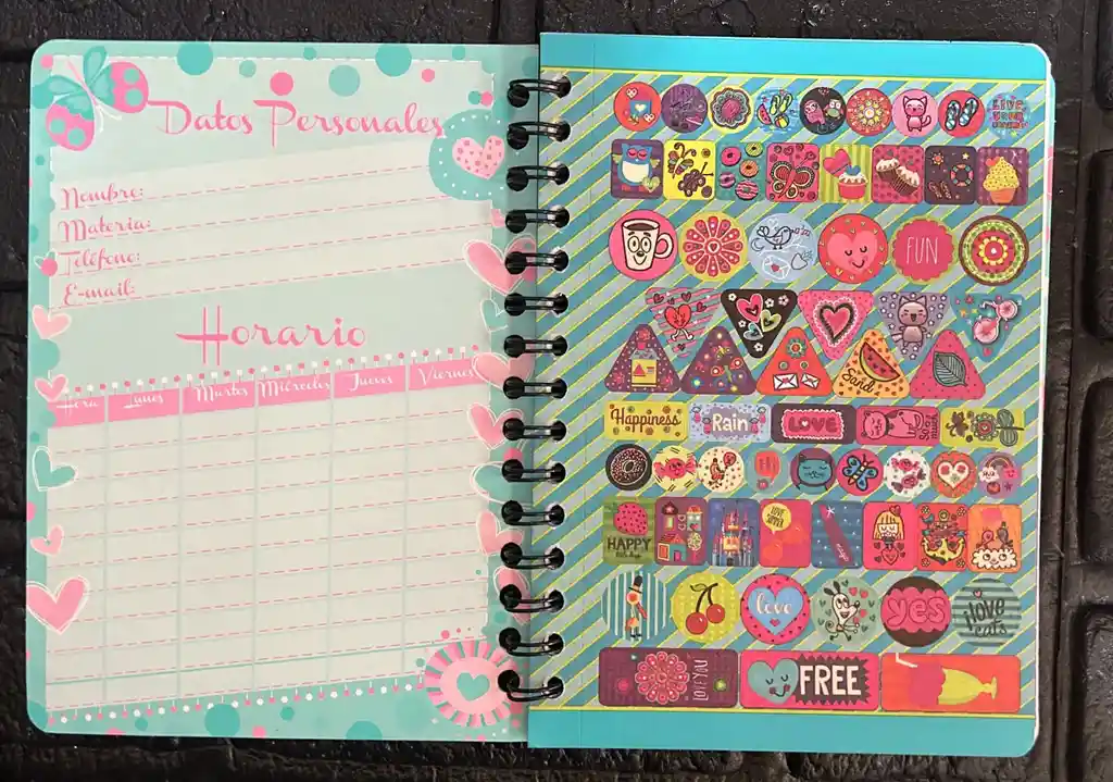 Cuaderno Argollado Linea Dama 100h Pequeño Cod.a95