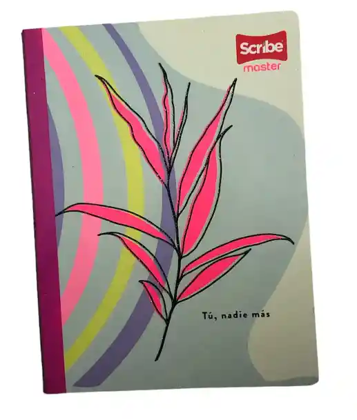 Cuaderno Cosido Cuadriculado Niña 1 Materia Scribe Master X 50 Hojas Plastificado Con Stickers