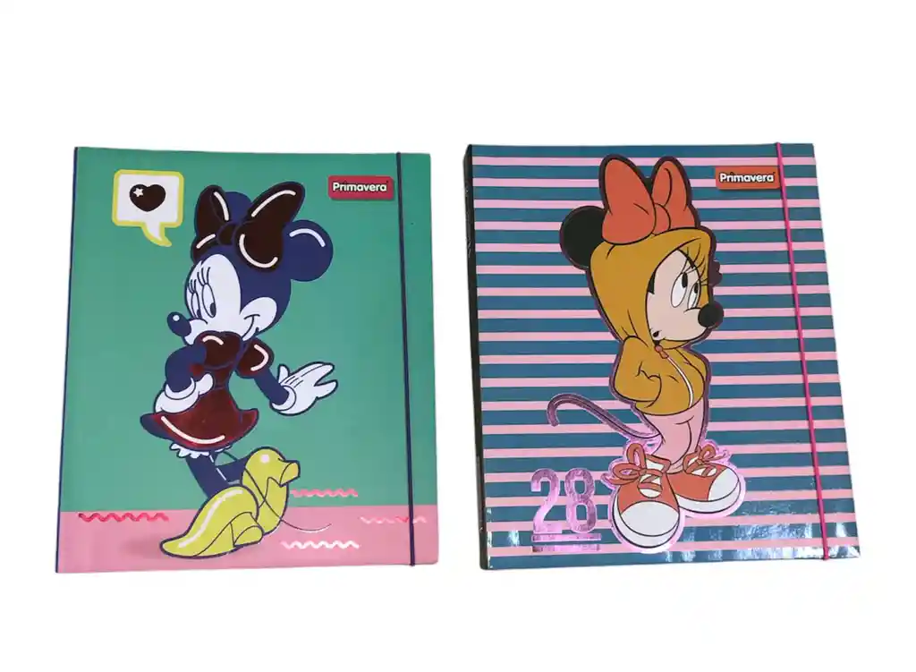 Folder Pasta Dura Con Caucho Primavera Disney Mujer