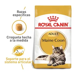 Alimento Seco Royal Canin Para Gato Fbn Maine Coon Adult 4kg