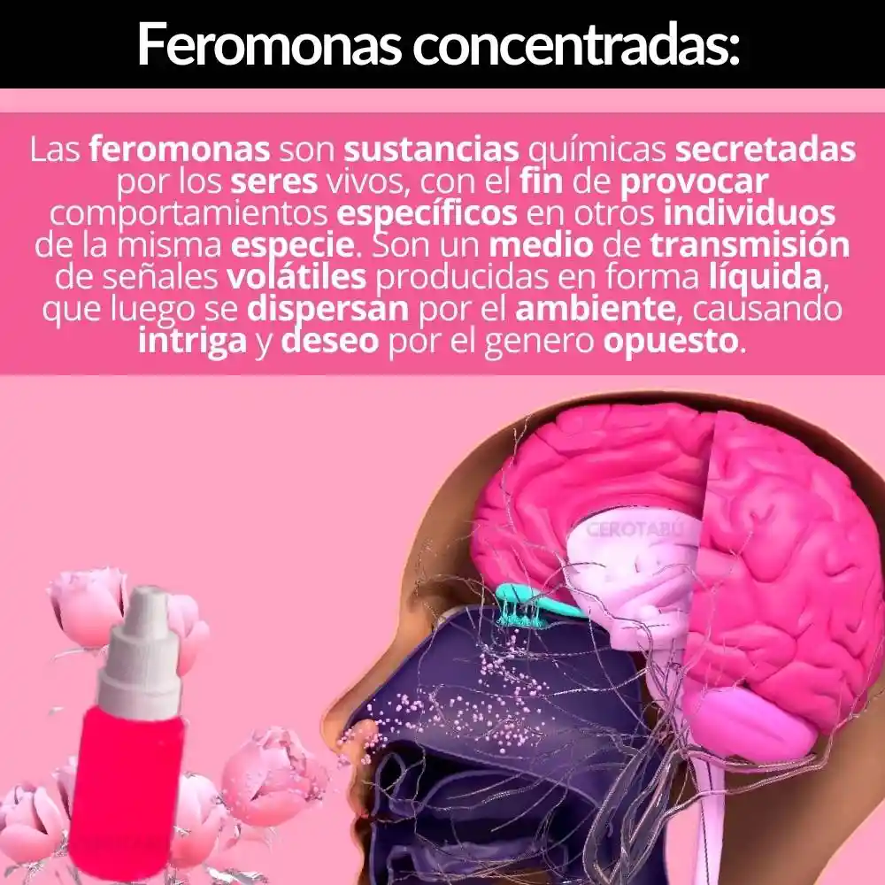 Kit Bala Vibradora + Lubricante Multiorgasmos + Feromonas Concentradas.