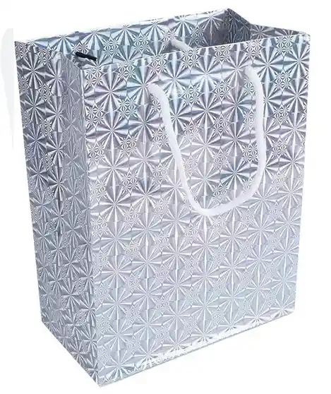 Bolsa Regalo Metal Color Plateada Talla S (16x12cm) Primavera