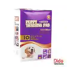 Tapete, Tapetes Training Puppy 60 X 45 Cm X10uds