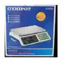 Balanza De Tienda 40kg Gynipot Gy-6990s