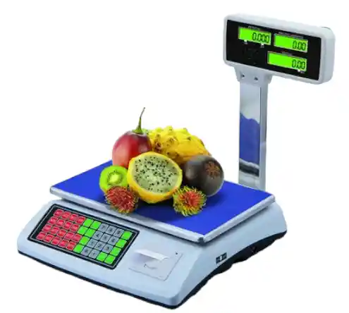 Bascula Impresora Digital 50kg Gynipot Gy-7008