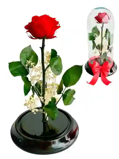 Flor Rosa Roja Inmortalizada - Flor Regalo - Rosa Regalo - Rosa Inmortalizada Con Cupula En Vidrio - Feliz Dia De Las Madres