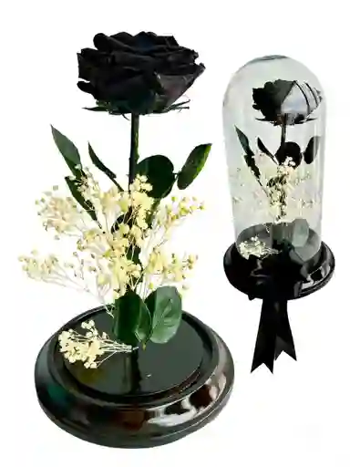 Flor Rosa Negra Inmortalizada - Flor Regalo - Rosa Regalo - Rosa Inmortalizada Con Cupula En Vidrio
