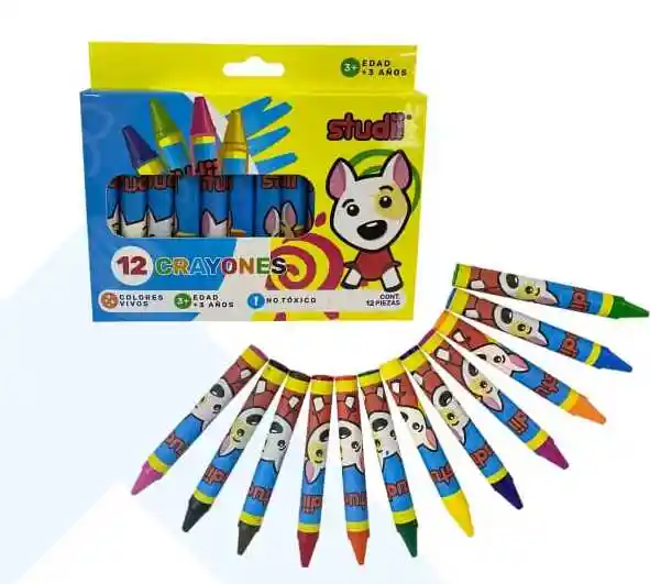 Crayones Mediano Studii X12