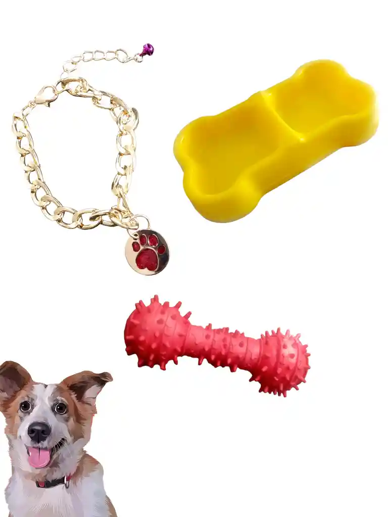 Kit Para Perros ( Comedor, Collar De Cadena Y Pesa Antisarro) Amor Perruno