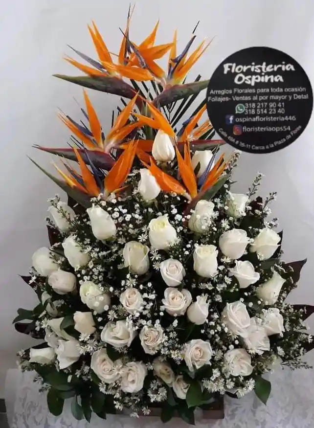 Arreglo Fúnebre