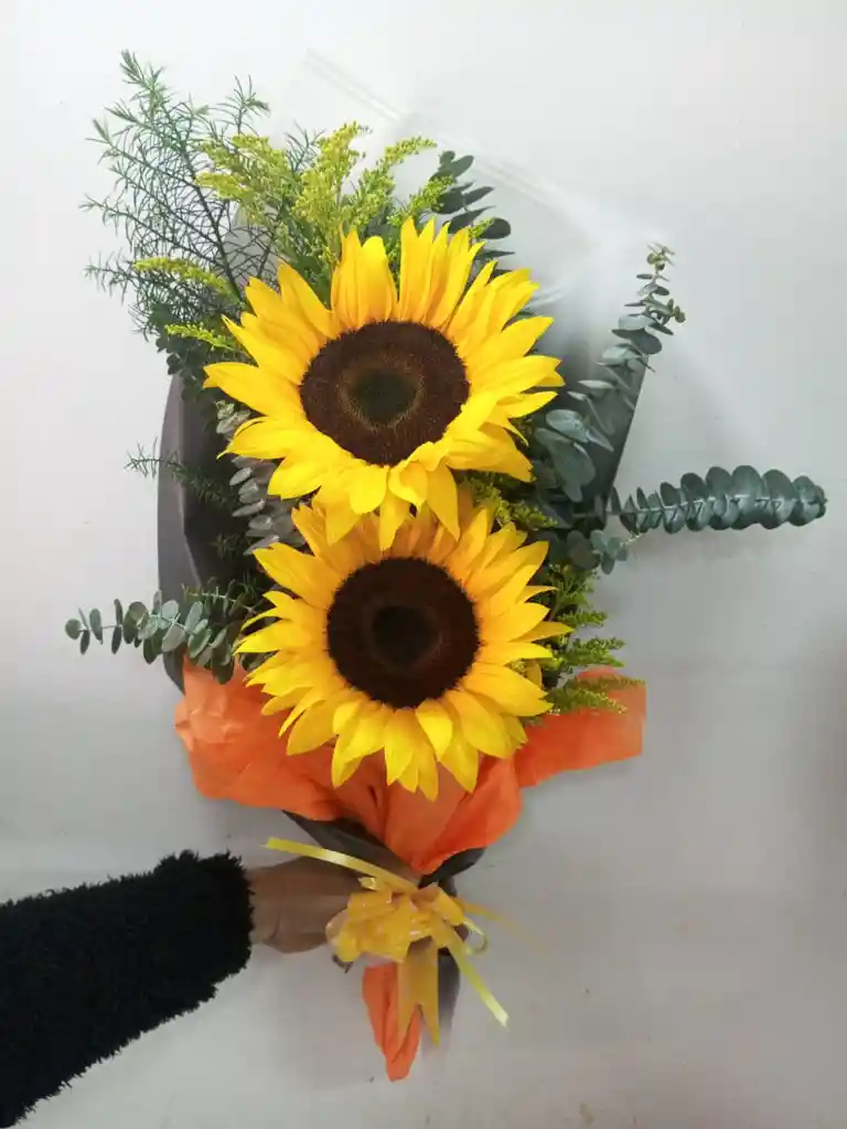 Diseño Girasol X 2 Unidades