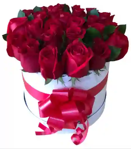Caja De 24 Rosas